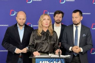 Policie provedla razii u slovenské Pirátky. Kritizovala eurodotace finanční správy - Novinky